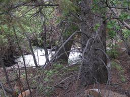 The creek [mon may 25 12:36:04 mdt 2009]